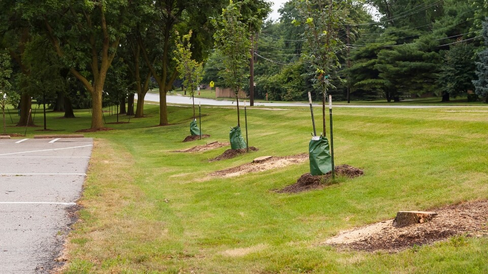 estacionamento garagein (2)